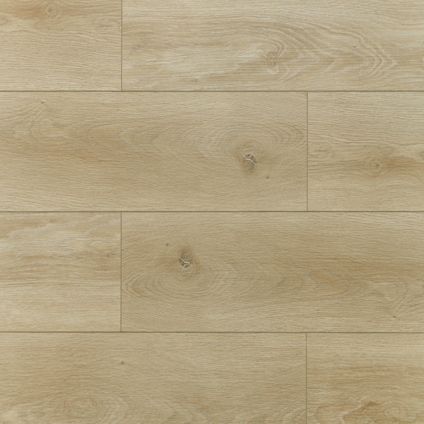 Дуб Абердин