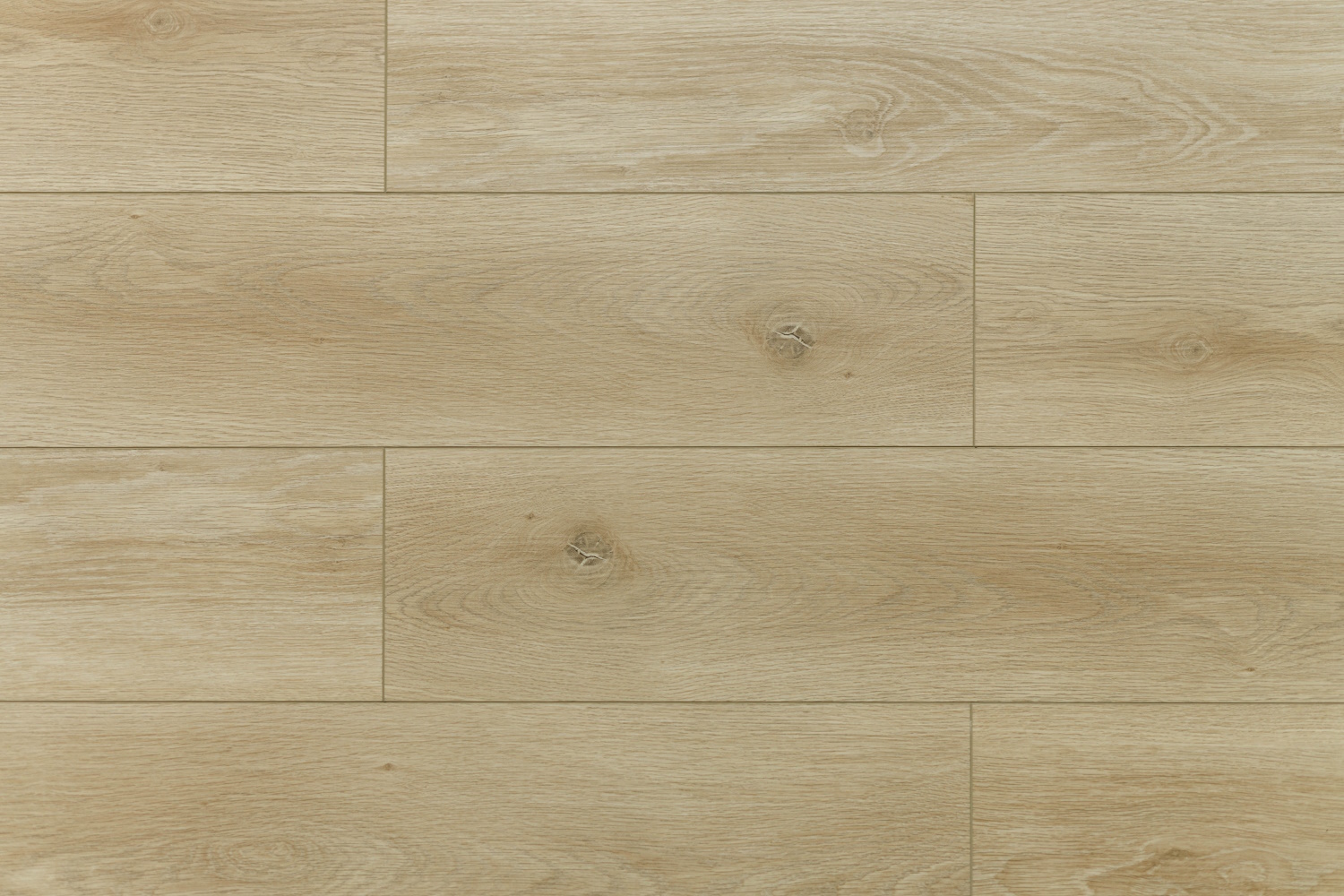 Дуб Абердин