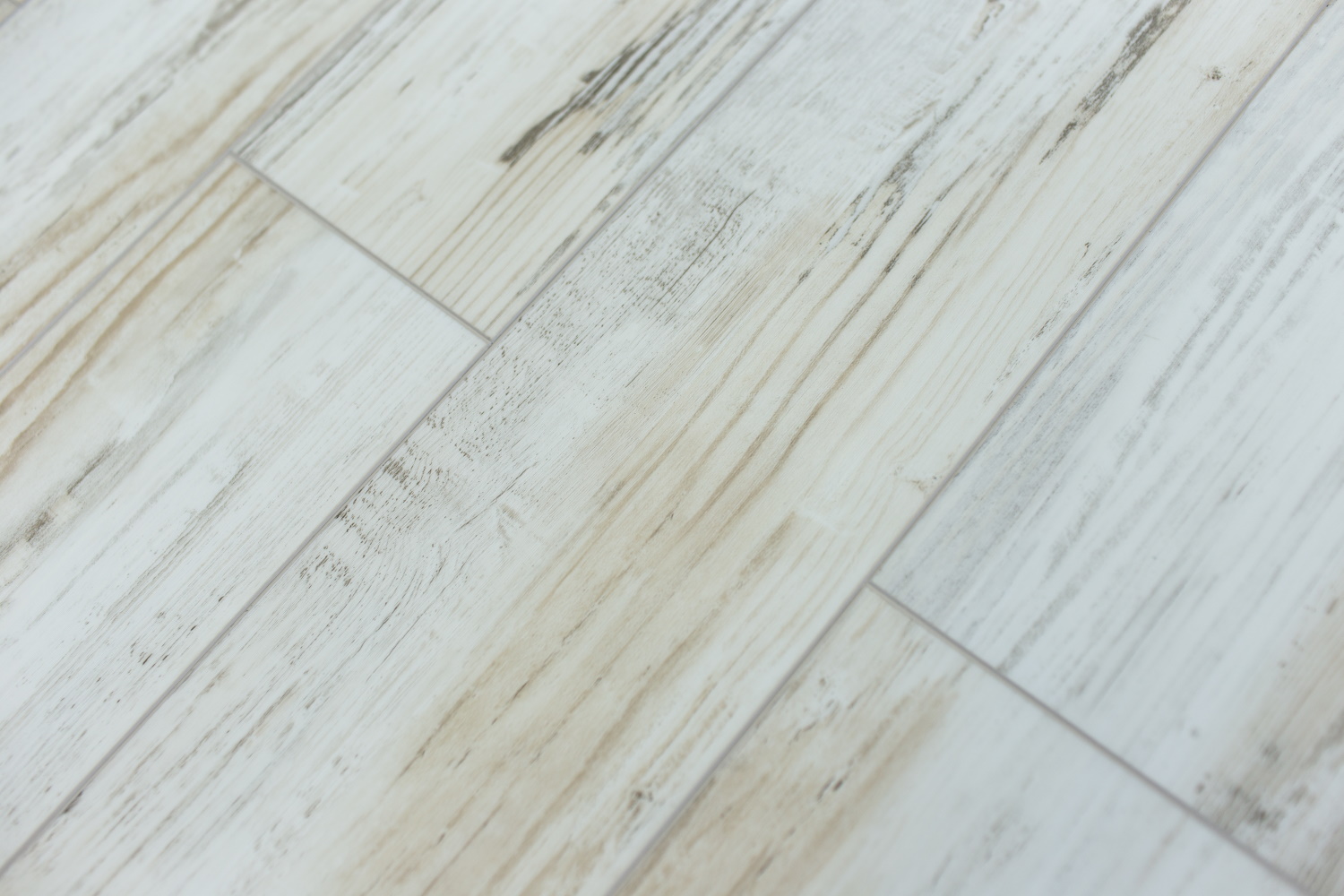 Береза Прованс