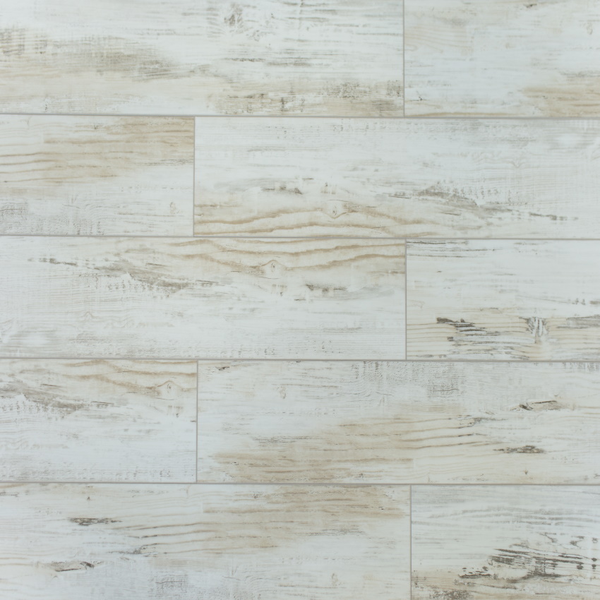 Береза Прованс