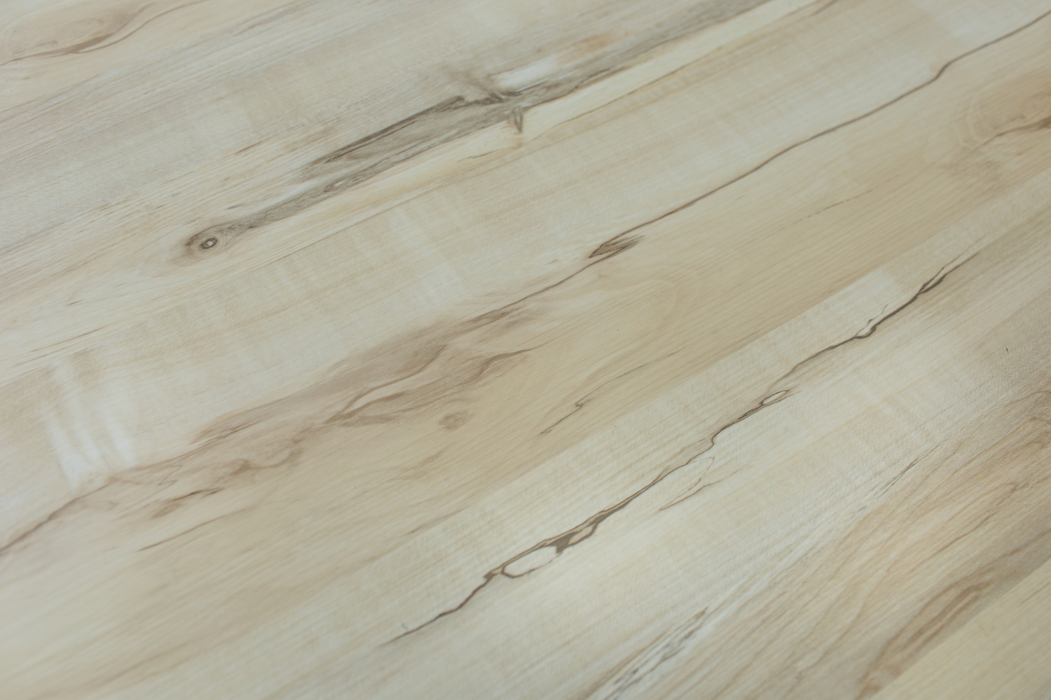 Акация Лазурная