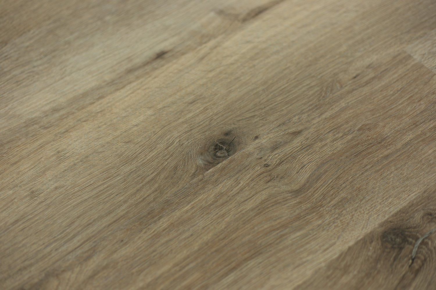 Дуб Амурский