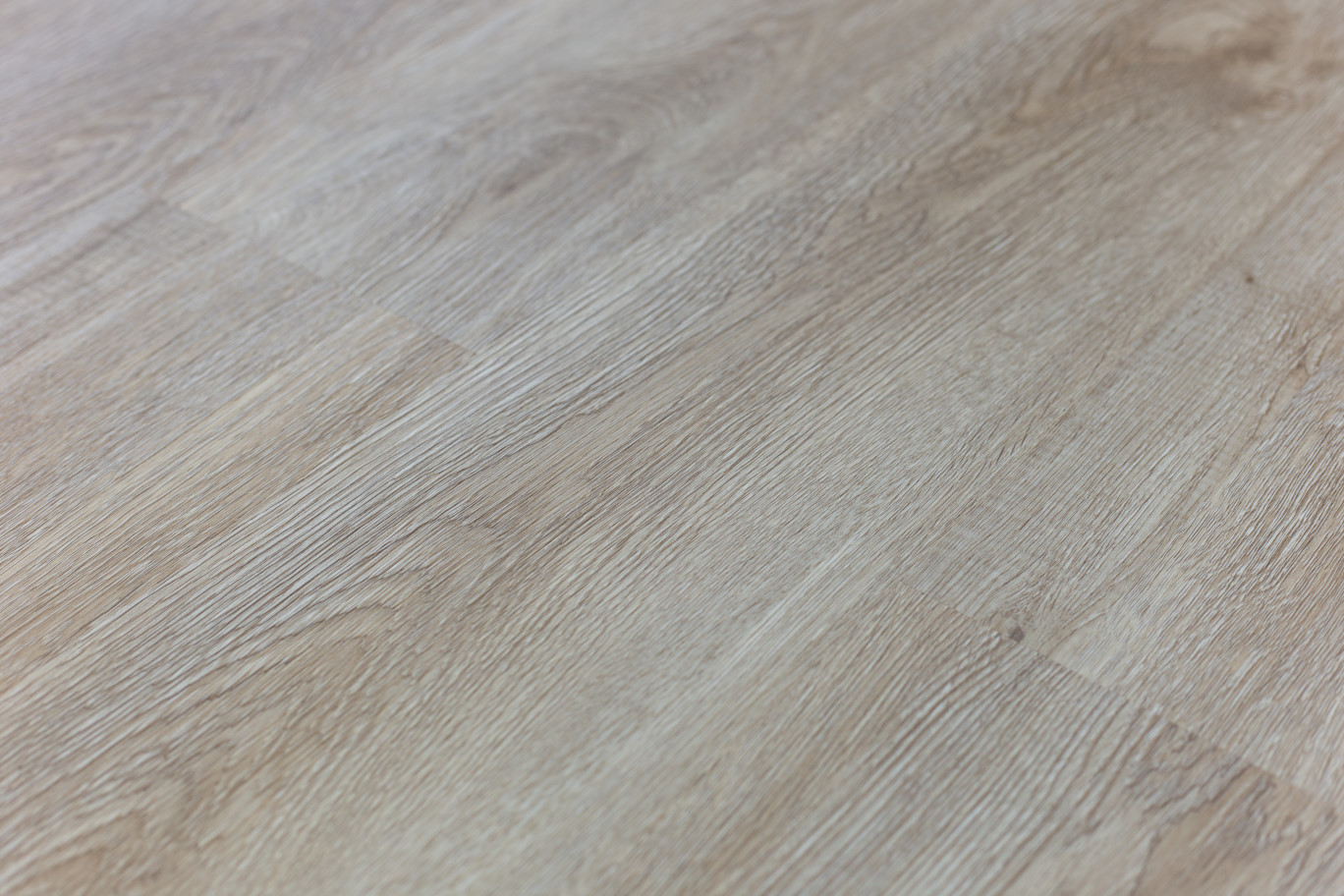 Дуб Анталийский