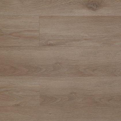 Дуб Абердин