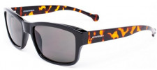 Мужски очки солнцезащитные вайфареры черные коричневые Converse SCO080Q57BLTO ( 57 mm)