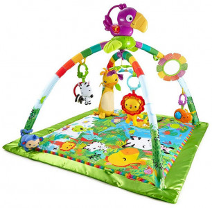Fisher-Price DFP08 детский развивающий игровой коврик Разноцветный