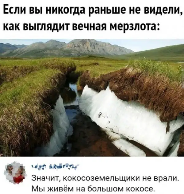 Забавный момент 1