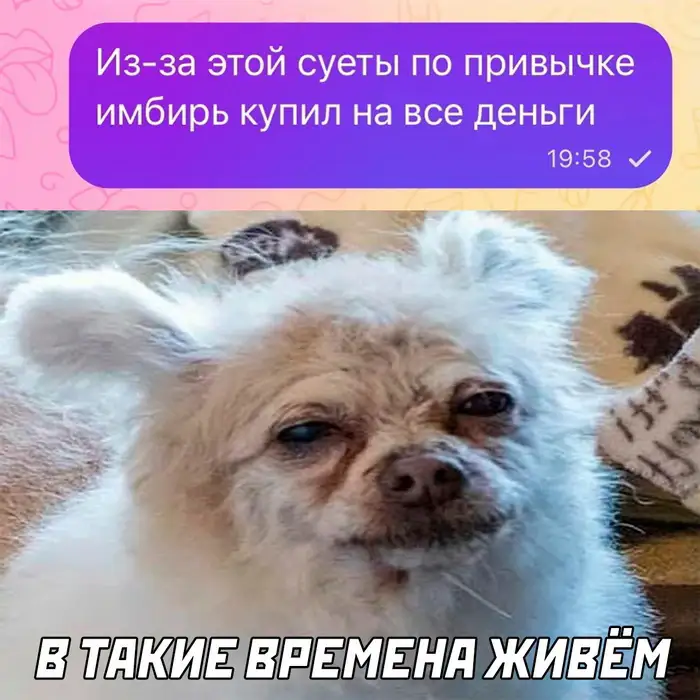 Забавный момент 11