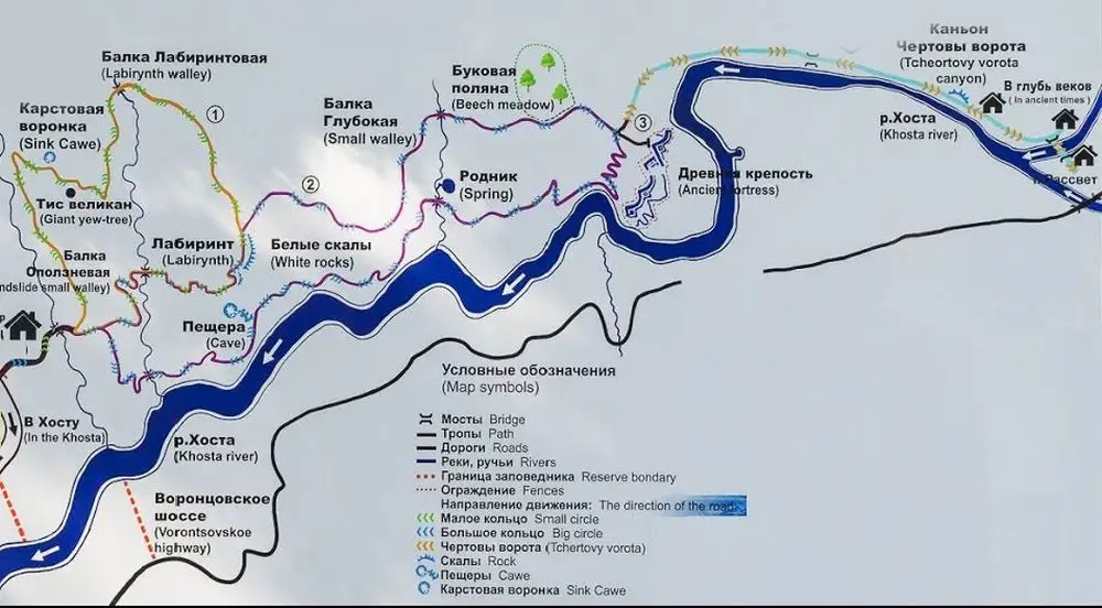 Кавказский голавль в реке