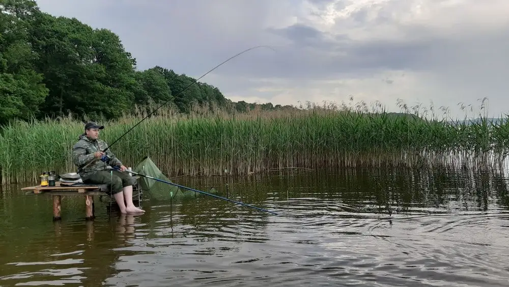 Перспективная дистанция ловли может начинаться с края водной растительности