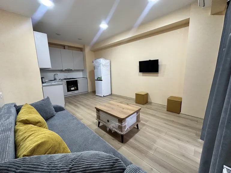 2-room apartment in Nadzaladevi, $650/month