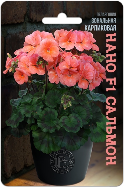 Пеларгония зональная карликовая Нано F1 Сальмон