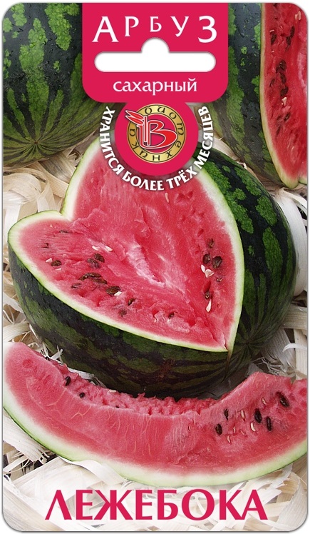 Арбуз Лежебока
