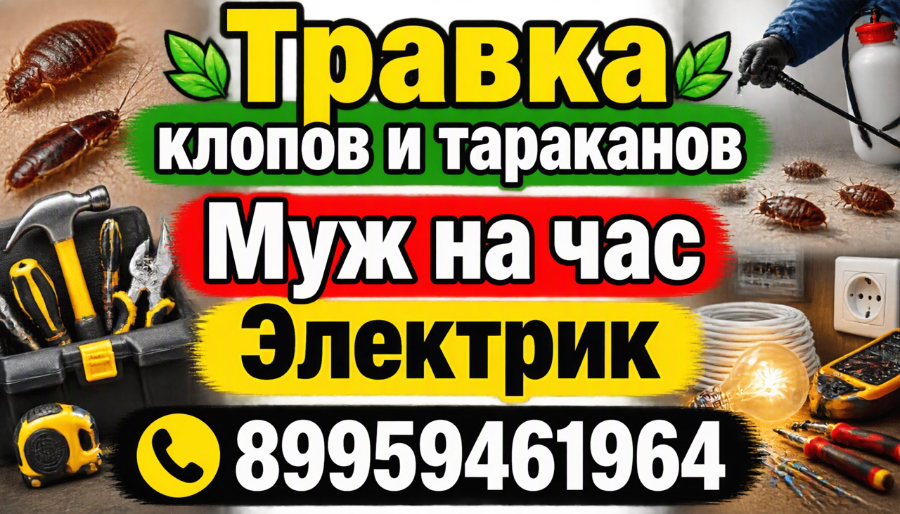 МУЖ НА ЧАС ЭЛЕКТРИК — фото 1