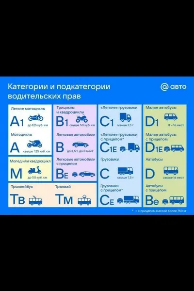 Услуги автошколы: экзамены, обучение и замена прав
