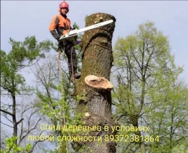 Услуги по спиливанию деревьев любой сложности