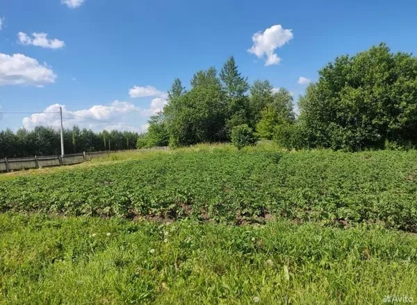 Продается земельный участок в с. Мишкино, 13 соток