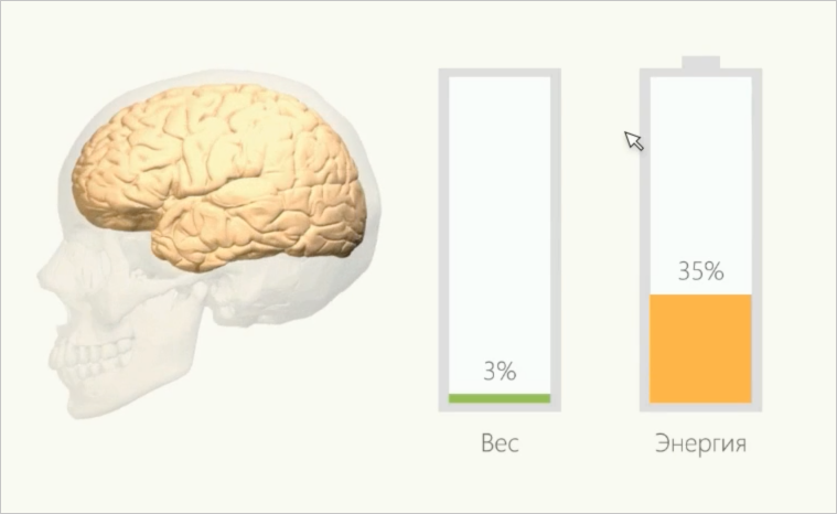 Мозг весит. Вес мозга карта. Масса мозга по расам. Вес мозга в гигабайтах.
