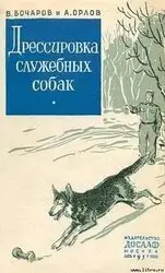 10 книг, которые воспитали бы даже собаку: удивительные секреты!