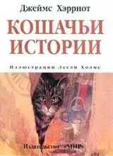 "10 Книг о Кошках, Которые Изменят Ваш Взгляд на Мир Мурлык"