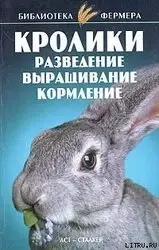 "10 Ошибок при Разведении Кроликов, Которые Стоят Вам Денег!"