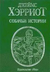 "10 Потрясающих Книг о Собачьей Верности и Дружбе"