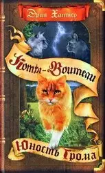 "Юность Грома: Почему все говорят об этой удивительной книге?"