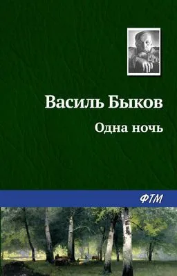 Одна ночь — обложка книги