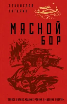 Мясной Бор — обложка книги