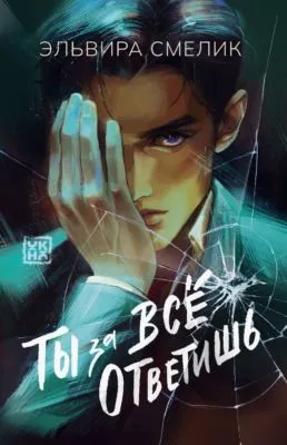 Ты за все ответишь — обложка книги
