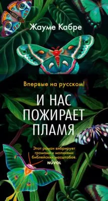 И нас пожирает пламя — обложка книги