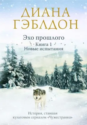 Эхо прошлого. Книга 1. Новые испытания — обложка книги