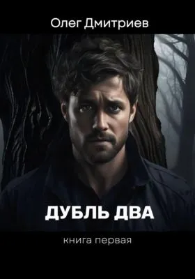 Дубль Два — обложка книги