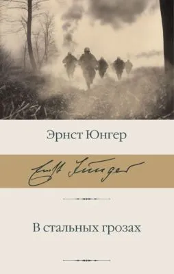 В стальных грозах — обложка книги