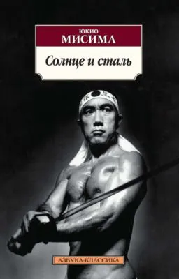 Солнце и сталь — обложка книги