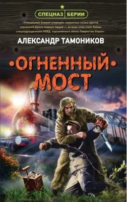 Огненный мост — обложка книги