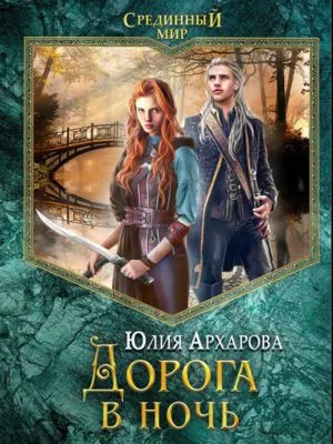 Дорога в ночь — обложка книги