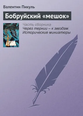 Бобруйский «мешок» — обложка книги