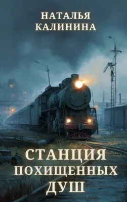 Станция похищенных душ — обложка книги