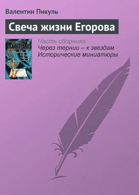 Свеча жизни Егорова — обложка книги