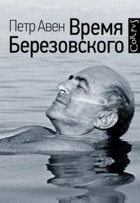 Время Березовского — обложка книги