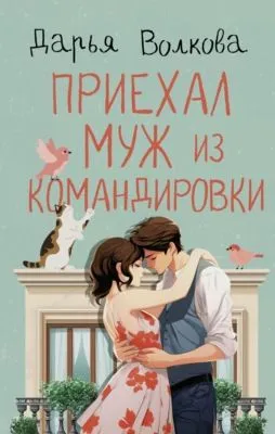 Приехал муж из командировки — обложка книги