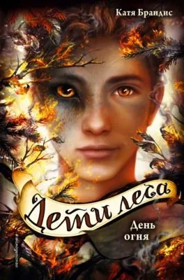 День огня — обложка книги