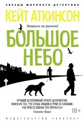 Большое небо — обложка книги