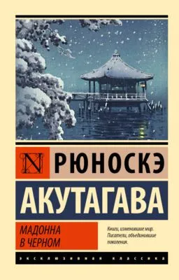 Мадонна в черном — обложка книги