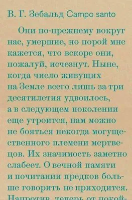 Campo santo — обложка книги