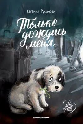 Только дождись меня — обложка книги