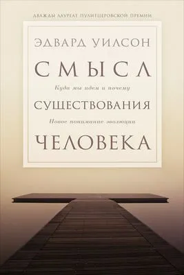 Смысл существования человека — обложка книги