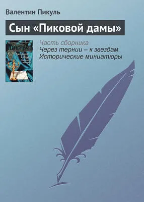 Сын «Пиковой дамы» — обложка книги