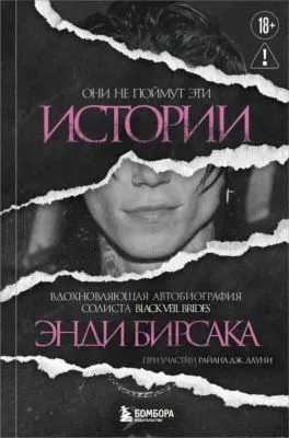 Они не поймут эти истории. Вдохновляющая автобиография солиста Black Veil Brides Энди Бирсака — обложка книги